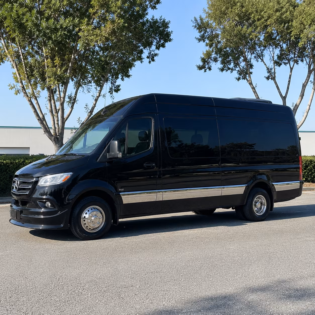 Richardson Wedding Transportation & Shuttle Service